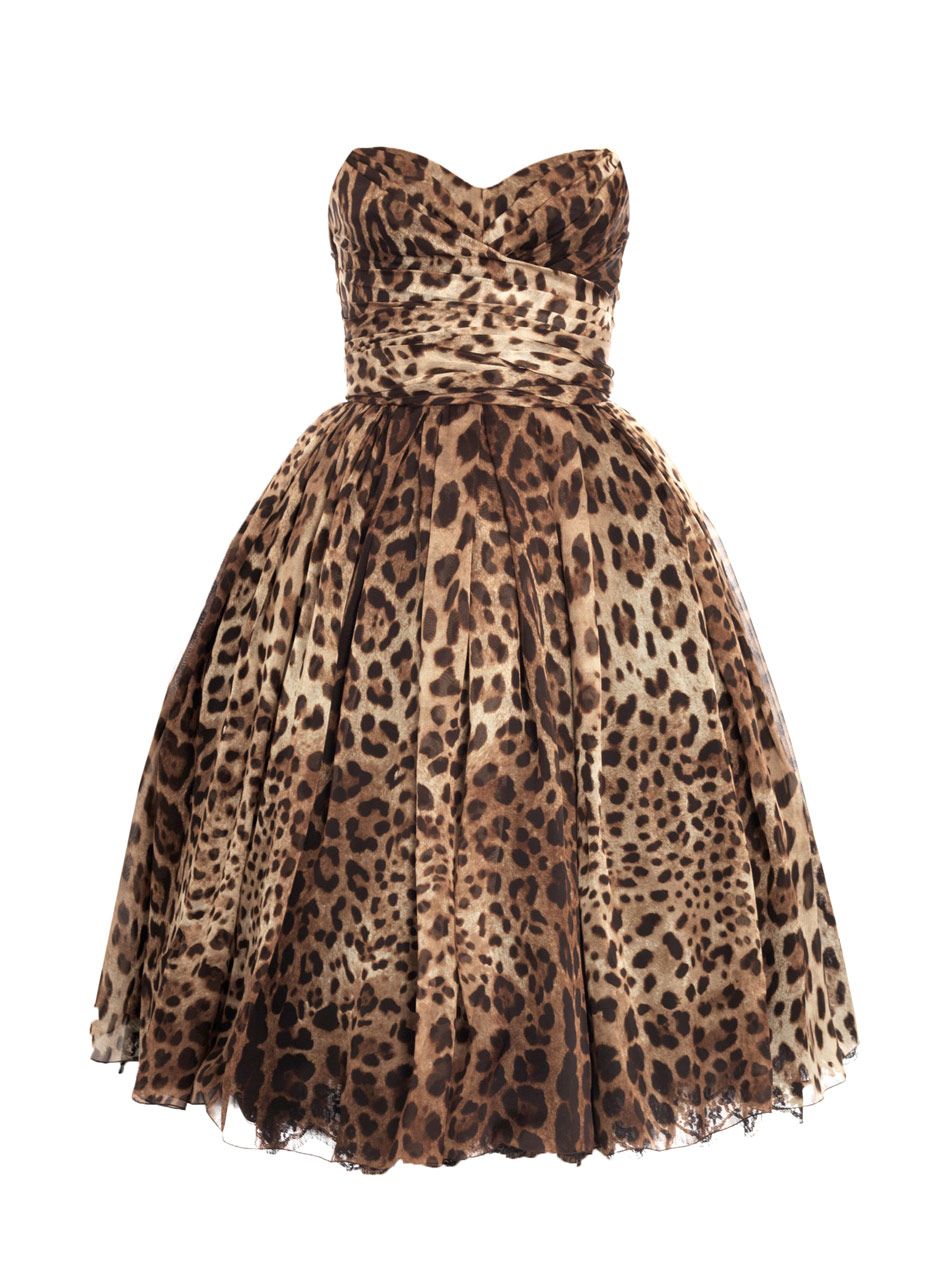 Animal dress model to look beautiful at party